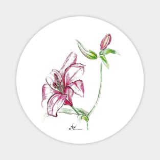 Beautifully painted pink Lily Flower Magnet